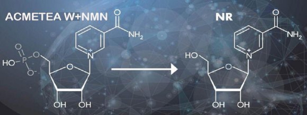 In-depth science: the difference between NMN and NAD+