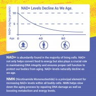 Besenify NMN 500mg (60 Capsules(Pack of 1)) Besenify NMN 500mg (60 Capsules(Pack of 1))