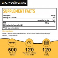 Enprotess NMN Supplement 500mg (120 Lozenges(Pack of 1)) Enprotess NMN Supplement 500mg (120 Lozenges(Pack of 1))