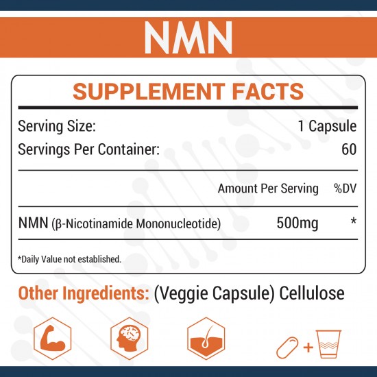 NMN Supplement 500mg (60 Count(Pack of 1))