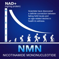 NMN PLUS 1000MG  (60Count(Pack of 1)) NMN PLUS 1000MG  (60Count(Pack of 1))